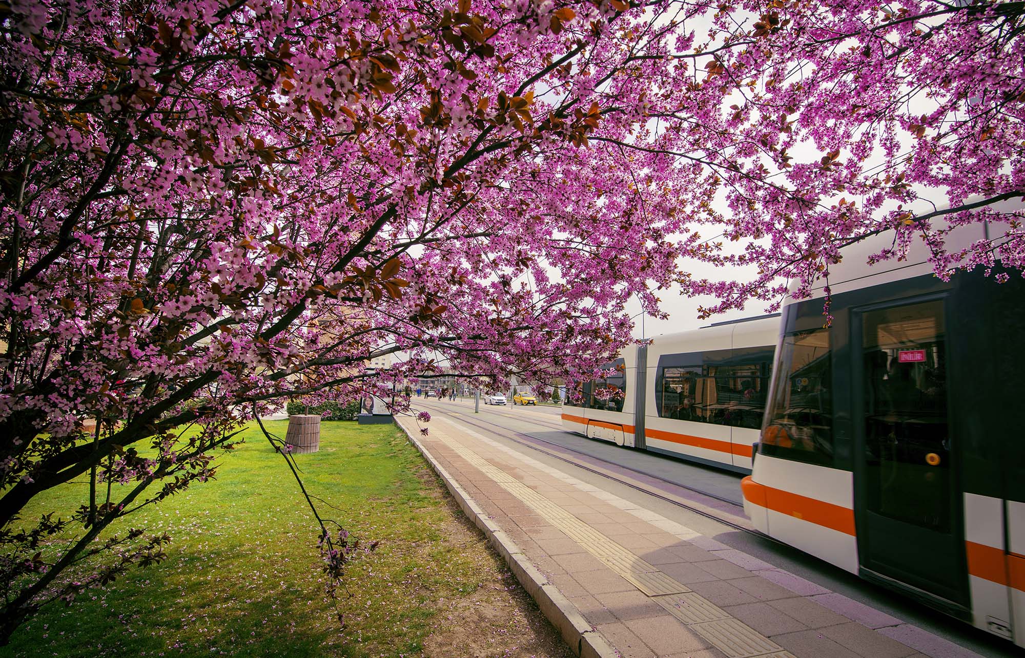 Eskişehir Kent Konseyi
